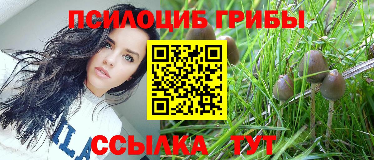 Меф   Каннабис  МДМА  Канаш  ГАШИШ  A PVP СОЛЬ   Вход с VPN  АМФ  